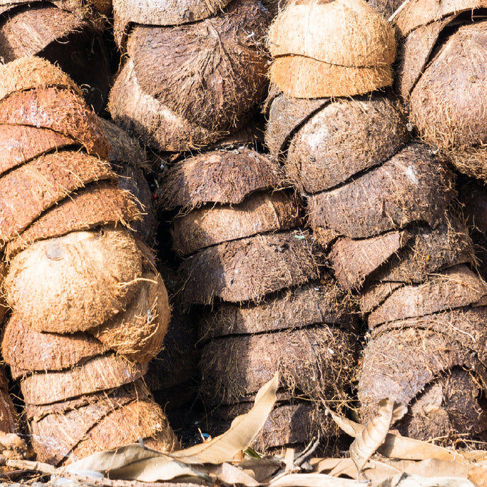 GIVING NEW LIFE TO DISCARDED COCONUT SHELLS